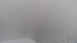 Lalíky vrcholová stanice