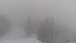 Lalíky vrcholová stanice