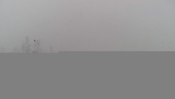 Lalíky vrcholová stanice