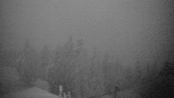 Lalíky vrcholová stanice