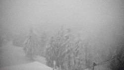 Lalíky vrcholová stanice