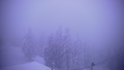 Lalíky vrcholová stanice