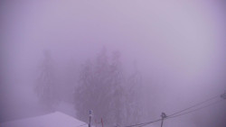 Lalíky vrcholová stanice