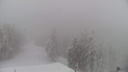 Lalíky vrcholová stanice