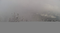 Lalíky vrcholová stanice