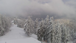 Lalíky vrcholová stanice