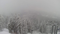 Lalíky vrcholová stanice