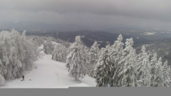 Lalíky vrcholová stanice