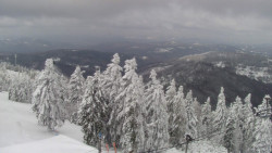 Lalíky vrcholová stanice