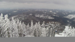 Lalíky vrcholová stanice