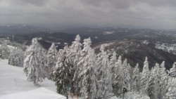 Lalíky vrcholová stanice