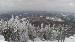 Lalíky vrcholová stanice