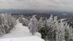 Lalíky vrcholová stanice