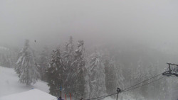 Lalíky vrcholová stanice