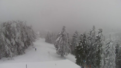 Lalíky vrcholová stanice