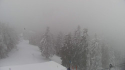 Lalíky vrcholová stanice