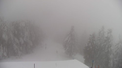 Lalíky vrcholová stanice