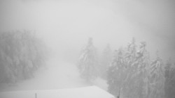 Lalíky vrcholová stanice