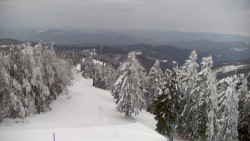 Lalíky vrcholová stanice