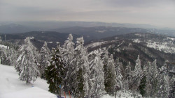 Lalíky vrcholová stanice