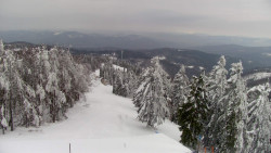 Lalíky vrcholová stanice