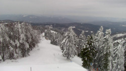 Lalíky vrcholová stanice