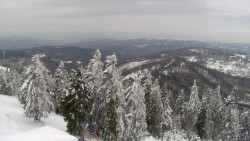 Lalíky vrcholová stanice