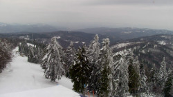 Lalíky vrcholová stanice