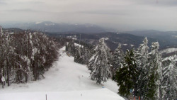 Lalíky vrcholová stanice