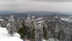 Lalíky vrcholová stanice