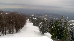 Lalíky vrcholová stanice