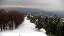 Lalíky vrcholová stanice