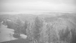 Lalíky vrcholová stanice