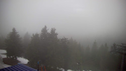 Lalíky vrcholová stanice