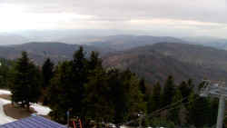 Lalíky vrcholová stanice