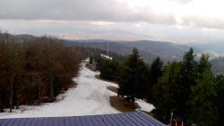 Lalíky vrcholová stanice