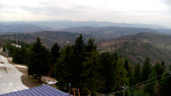 Lalíky vrcholová stanice