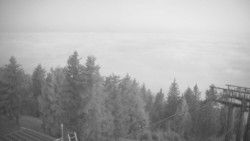 Lalíky vrcholová stanice