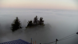 Lalíky vrcholová stanice