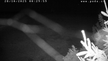 Snímek    28.10.2025 v 00:30