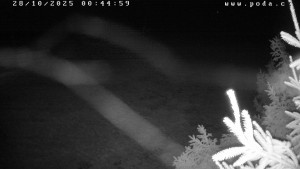 Ski klub Velké Meziříčí - Fajtův kopec - Sjezdovka - 28.10.2025 v 00:45 Ski klub Velké Meziříčí - Fajtův kopec - Sjezdovka - 28.10.2025 v 00:45