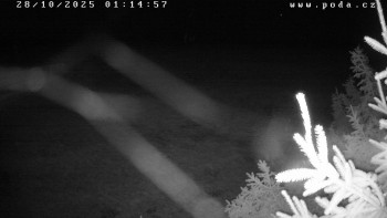 Snímek    28.10.2025 v 01:15