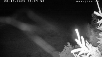 Snímek    28.10.2025 v 01:30