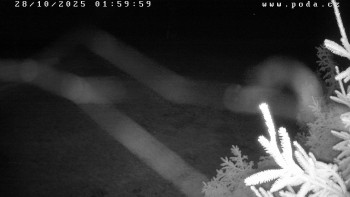 Snímek    28.10.2025 v 02:00
