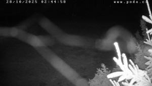 Ski klub Velké Meziříčí - Fajtův kopec - Sjezdovka - 28.10.2025 v 02:45 Ski klub Velké Meziříčí - Fajtův kopec - Sjezdovka - 28.10.2025 v 02:45