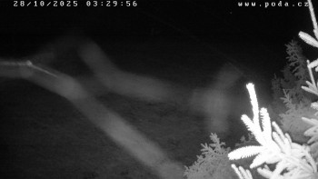 Snímek    28.10.2025 v 03:30