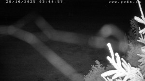 Ski klub Velké Meziříčí - Fajtův kopec - Sjezdovka - 28.10.2025 v 03:45 Ski klub Velké Meziříčí - Fajtův kopec - Sjezdovka - 28.10.2025 v 03:45