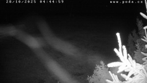 Ski klub Velké Meziříčí - Fajtův kopec - Sjezdovka - 28.10.2025 v 04:45 Ski klub Velké Meziříčí - Fajtův kopec - Sjezdovka - 28.10.2025 v 04:45