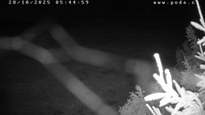 Ski klub Velké Meziříčí - Fajtův kopec - Sjezdovka - 28.10.2025 v 05:45 Ski klub Velké Meziříčí - Fajtův kopec - Sjezdovka - 28.10.2025 v 05:45