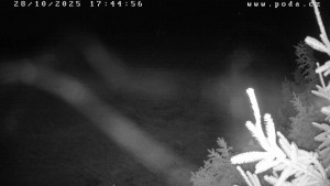 Ski klub Velké Meziříčí - Fajtův kopec - Sjezdovka - 28.10.2025 v 17:45 Ski klub Velké Meziříčí - Fajtův kopec - Sjezdovka - 28.10.2025 v 17:45